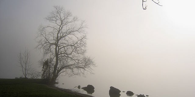 Herbstnebel am Abersee